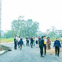 Dự Án Athena Tp Vinh, Siêu Phẩm Bđs Năm 2025. Liên Hệ: 0931.393.262