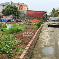 Chính Chủ Bán Lô Đất Vuông Vức, Đẹp 393M2 Tại Thanh Lâm, Mê Linh, Hà Nội