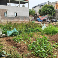 Chính Chủ Bán Lô Đất Vuông Vức, Đẹp 393M2 Tại Thanh Lâm, Mê Linh, Hà Nội