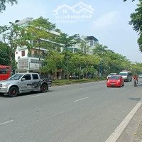 Bán Đất Mặt Phố Cổ Linh Long Biên 150M,Mặt Tiền10M Xây Toà Nhà Văn Phòng - Khách Sạn Giá Đầu Tư