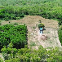 Kẹt Tiền Thực Sự Cần Bán Gấp Hơn 1 Mẫu 3 View Suối Ôm Trọn Đất Tại Hoà Hội, Xuyên Mộc