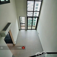 Mua Ngay - Pkd Feliz En Vista Cập Nhật Liên Tục Các Siêu Phẩm Giá Kịch Sàn, 1-2-3-4Pn-Duplex-Villa