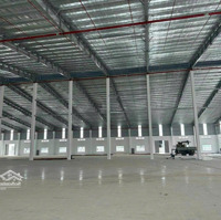 Cho Thuê Nhà Xưởng 19800M2 Kcn Long An Pccc Tự Động Hạ Tầng Hiện Đại