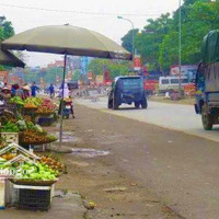 Bán 120M2 Đất Tái Đinh Cư Văn Mỹ, Hoàng Văn Thụ, Mặt Tiền 5M, 200M Ra Đường Hcm, Sẵn Sổ