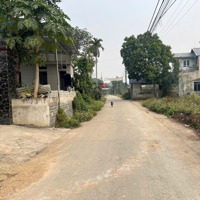 Bán Hoa Hậu 115M2 Full Thổ Cư, Sẵn Sổ Hồng, Nam Phương Tiến, Chương Mỹ, Trục Chính Liên Xã