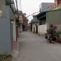Cực Hót. Lô Đất Đẹp 59M Hội Phụ, Khu Vực Hiếm Nhà Bán, Sát Vin Cổ Loa, Cầu Tứ Liên 19/5 Khởi Công
