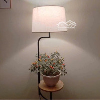 Bán Căn 3 Pn Chung Cư Lotus Sài Đồng, Giá Hơn 4 Tỷ