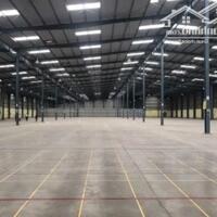 Cho thuê nhà xưởng 21.000m2 KCN tại Đồng Xoài, Bình Phước