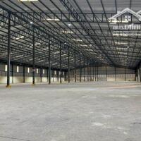 Cho thuê nhà xưởng mới xây dựng huyện Tân Phước, tỉnh Tiền Giang.