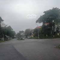 Bán Biệt Thự Kđt Quang Minh, 52 Triệu / M2, 330 M2, Hàng Hiếm Tại Mê Linh, Hà Nội
