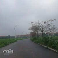 Bán Biệt Thự Kđt Quang Minh, 52 Triệu / M2, 330 M2, Hàng Hiếm Tại Mê Linh, Hà Nội