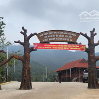 Giá Nào Cũng Bándiện Tích619M2,Gần Vườn Vua Risort Tại Thanh Thủy, Phú Thọ : Liên Hệ: 0979534028