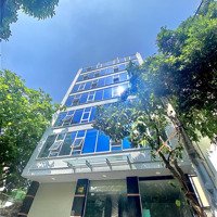 Cho Thuê Tòa Nhà Trường Sơn, P.2, Quận Tân Bình, Hầm Trệt 5 Lầu, Dtsd: 1800M2, Mặt Tiền Ngang 12M