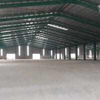 Bán nhà xưởng 20.000 m² trong KCN Long Giang - Tiền Giang