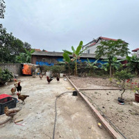 Chủ Cần Bán 57M2 Đất Thôn Đường Nhạn, Xã Xuân Nộn