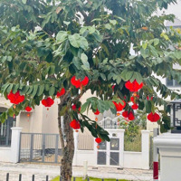 Siêu Hot Căn Grand Villa Aqua City 300M2 Bán Lỗ Chỉ 14 Tỷ. Khu Compound Trái Tim Aqua City
