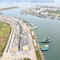 Ô Đất Hoa Hậu Tuần Châu - Hạ Long. Đi Bộ 2P Ra Bến Du Thuyền. Vị Trí Đắc Địa. Giá Tốt Đầu Tư