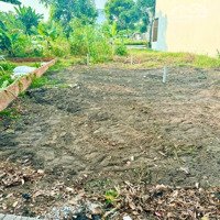 Bán Đất Cát Tường Phú Sinh Vị Trí Đẹp, Giá Tốt, Ngay Chợ Ngang 5M