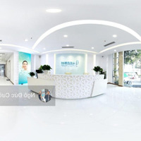 Mặt Bằng Hoàng Cầu 150M X 3 Tầng + Hầm, Mặt Tiền 5M Vị Trí Đẹp, Phù Hợp Nhiều Mô Hình Kinh Doanh