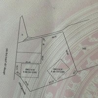Đất Phước Hưng,Bà Rịa 600M2 Đất Ở,Còn Là Đất Trồng Cây,Tương Lai Mặt Đường Nguyễn Tất Thành Kéo Dài