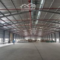 Cho Thuê Kho Nhà Xưởng 400M2 - 800M2 - 1500M2 - 2000M2 Q.sơn Trà - Đà Nẵng