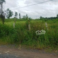 Bán Đất Đường Xuân Thới Sơn 8, Huyện Hóc Môn, 849.8M2