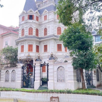 Bán Biệt Thự 5 Tầng Diện Tích 270M2 Mặt Tiền 20M Kdt Vườn Đào Đường Lạc Long Quân, Tây Hồ,Hà Nội
