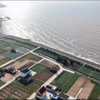 Bán Nhanh Lô Đất Ven Biển Giá Chỉ 10 Triệu/M2 Khu Vực Kinh Doanh Sầm Uất Nhất Khu Vực Quất Lâm
