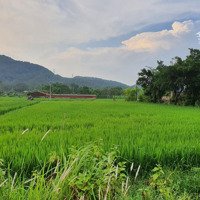 Bán Trang Trại, Khu Nghỉ Dưỡng Tại Xã Nam Sơn, Sóc Sơn, Hà Nội, Giá Tốt, 900M2, Ngõ 5M