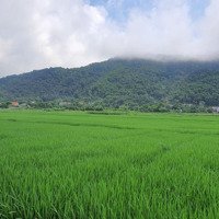 Bán Trang Trại, Khu Nghỉ Dưỡng Tại Xã Nam Sơn, Sóc Sơn, Hà Nội, Giá Tốt, 900M2, Ngõ 5M