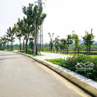 Chưa Thấy Lô Nào Vừa Sạch Đẹp Vừa Rẻ Như Lô Này Luôn Khách Mua Phú Mỹ Ơi