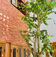 Siêu Phẩm Tầm Trung Đẹp Không Tì Vết Nằm Ngay Lý Thái Tổ, Q10/ 3 Tỷ 2/ 50M2 Shr. Hđt 14 Triệu/Th