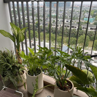 Cần Bán Căn 2 Ngủ 2 Vệ Sinh Khu Sky Oasis Giá Bán 3.3 Tỷ Bao Phí View Biệt Thự Đảo Liên Hệ: 0961694919