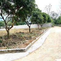 Cần Bán Lô Đất Nghỉ Dưỡng S=379M2 Lô Góc, Vuông Vắn (Có 220 Ont). Giá Rẻ, Pháp Lý Rõ Ràng