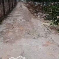 Chính Chủ Bán Lô Full Thổ Cư Vuông Vắn Tại Thọ Xuân-Đan Phượng, Giá Chỉ 41 Triệu/1M2