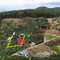 Bán Gấp! Đất Xào Dân Cắt Bán 1.200 M2 Đất Tt Mê Linh Sát Đà Lạt Sổ Hồng Riêng Xd Chỉ Hơn 1 Tỷ