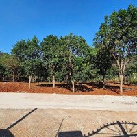 Bán Gấp! Đất Xào Dân Cắt Bán 1.200 M2 Đất Tt Mê Linh Sát Đà Lạt Sổ Hồng Riêng Xd Chỉ Hơn 1 Tỷ
