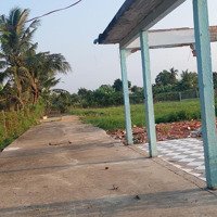 Bán 4 Nền Đất Thổ Cư Giá Rẻ Tân Quý Tây, Bình Chánh