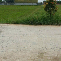 Ưu Đãi !!! Mở Bán 3 Lô Đất Mtd Xóm Dầu, Tân Túc, Bình Chánh. 105M2/ 638 Triệu. Shr. Full Thổ.