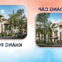 Dụi Mắt 3 Lần Ngỡ Nhìn Nhầm Vì Giá Liền Kề Ở Sun Urban City Hà Nam Quá Rẻ So Với Tiềm Năng Mang Lại