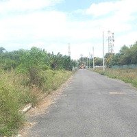 Cơ Hôi, Mua Lướt, Bán Đất Nền Sổ Riêng Thổ Cư, Giá Bán 1 Tỷ 250 Triệu..phước Tân, Biên Hòa