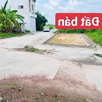 Bán Đất 51.9M2 Full Thổ Tại Thôn Quảng Ninh, Xã Hiền Ninh, Sóc Sơn
