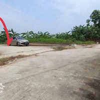 Bán Đất 51.9M2 Full Thổ Tại Thôn Quảng Ninh, Xã Hiền Ninh, Sóc Sơn