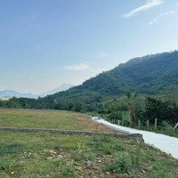 1000M Đất Yên Bình Thạch Thất View Đẹp Đường To Giá Rẻ Chỉ 6,X Triệu
