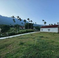 1000M Đất Yên Bình Thạch Thất View Đẹp Đường To Giá Rẻ Chỉ 6,X Triệu