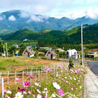 Chỉ 850 Tr Sở Hữu Ngay Homestay Tại Khu Nghỉ Dưỡng Tại Lộc Nam