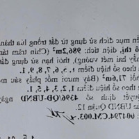 Bán Đất Thổ Cư Mặt Đường Đông Hưng Thuận 10 B, P Đông Hưng Thuận, Q12