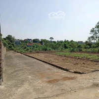Bán Lô Góc Thắng Trí -Minh Trí -Sóc Sơn -Hà Nội, Vị Trí Siêu Đẹp, Thông Ngõ