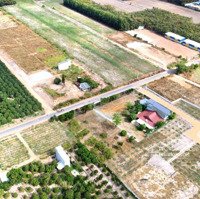 Bán Rẻ Đất Mặt Tiền (20X50=1.000M2) Diện Tích: 756 Minh Lập Chơn Thành 499 Triệu/Sổ