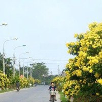 Bán Đất Tại Xuân Lộc, 1,37 Tỷ, 137M2, Giá Ưu Đãi Hàng Hiếm Tại Thanh Thủy, Phú Thọ